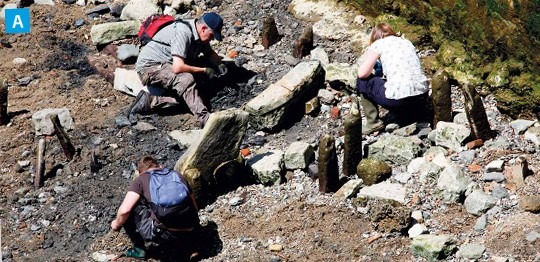 Photo A - mudlarking